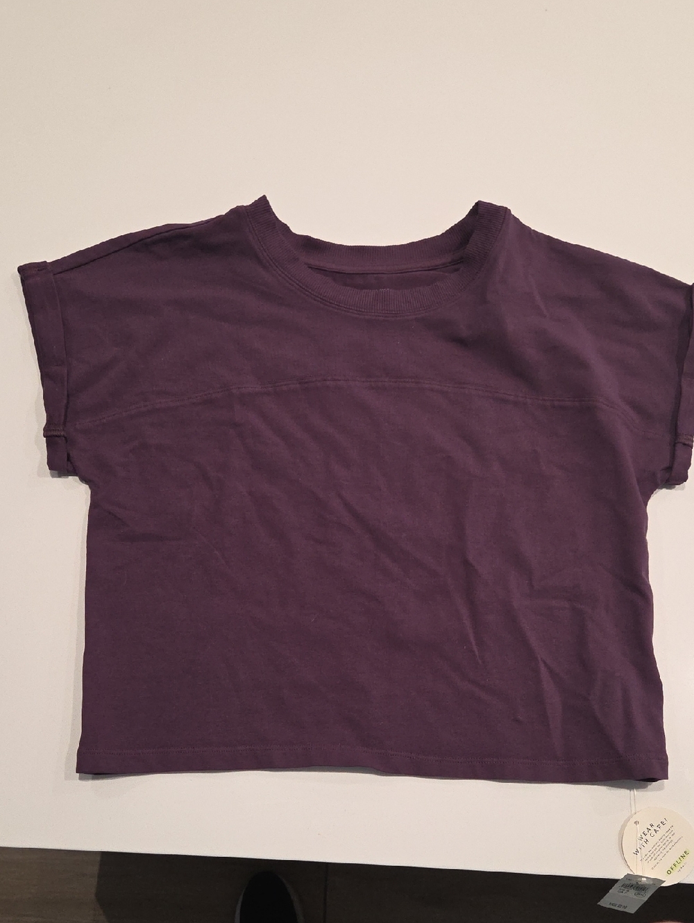 aerie Plum Short Sleeve Tee